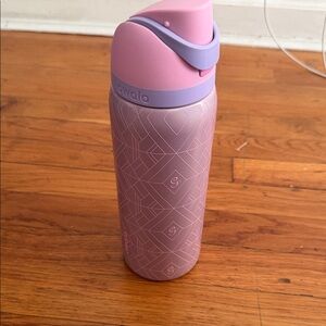 Owala wicked glinda water bottle